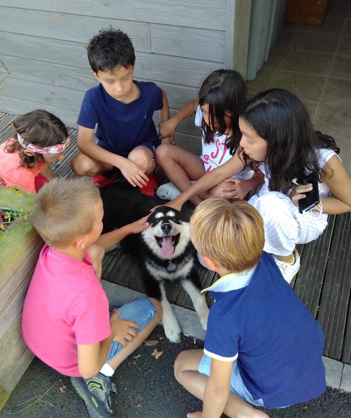 Pookie et les enfants des gites