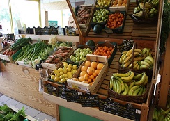 Quelques magasins cultivent leurs propres légumes bio.