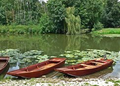 Glissez au fil de l'eau sur les barques du Marais Poitevin.